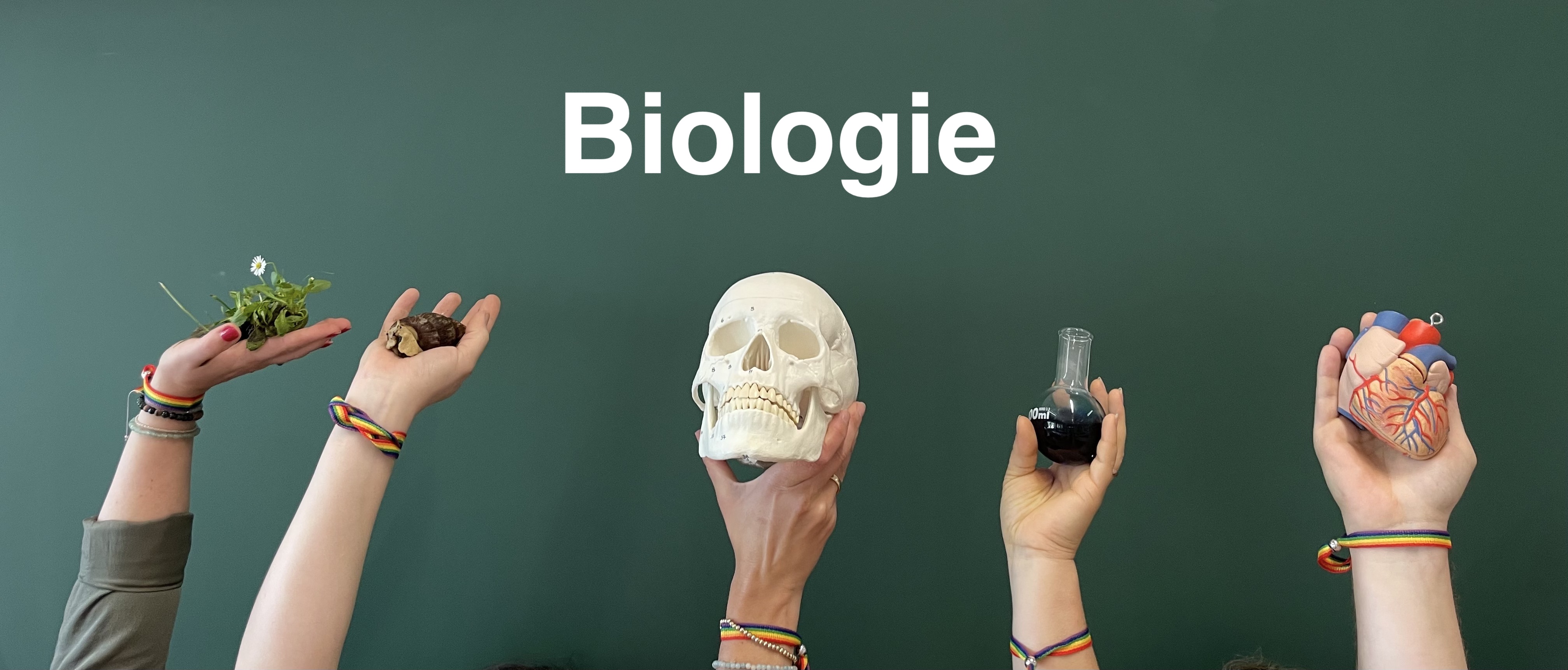 Biologie Kollegium 2025