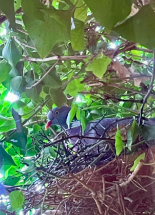 Biologie 2 Go März 2026