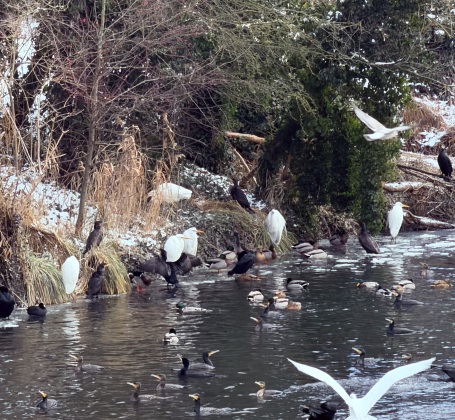 Biologie 2 Go Februar 2026