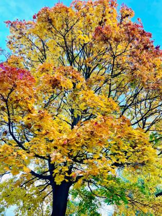 Biologie 2 Go November 2025 Biologie 2 Go November 2025