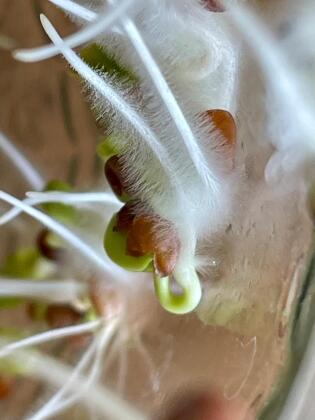 Biologie 2 Go April 2026