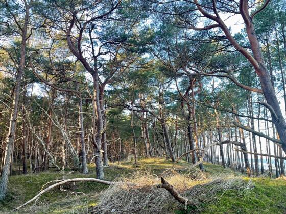 Biologie 2 Go Januar 2026 Biologie 2 Go Januar 2026